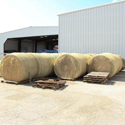 Tough1 Hay/Straw Bale Cutter 6 Pack - The Connected Rider San Antonio  English Tack Store