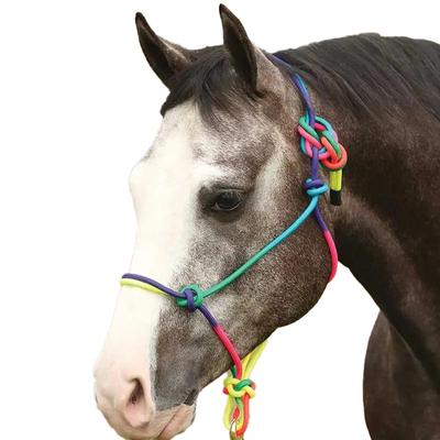 Sullivan Supply, Inc. Poly Rope Cattle Halter - Pink/White